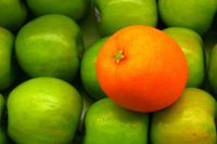 Apple and Orange