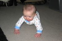 Baby crawling