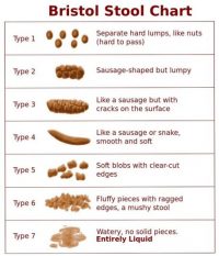 Bristol Stool Chart