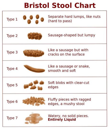 Bristol Stool Chart