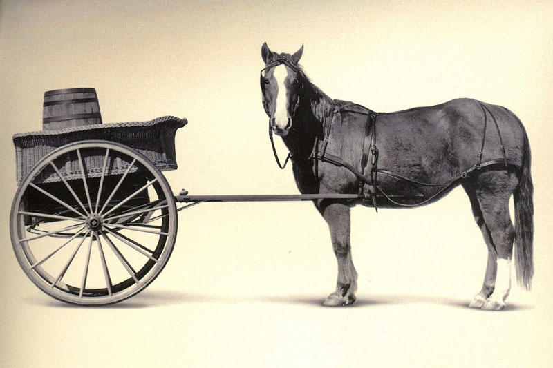 Putting the cart before the horse