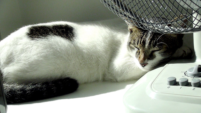 Nancy sleeping