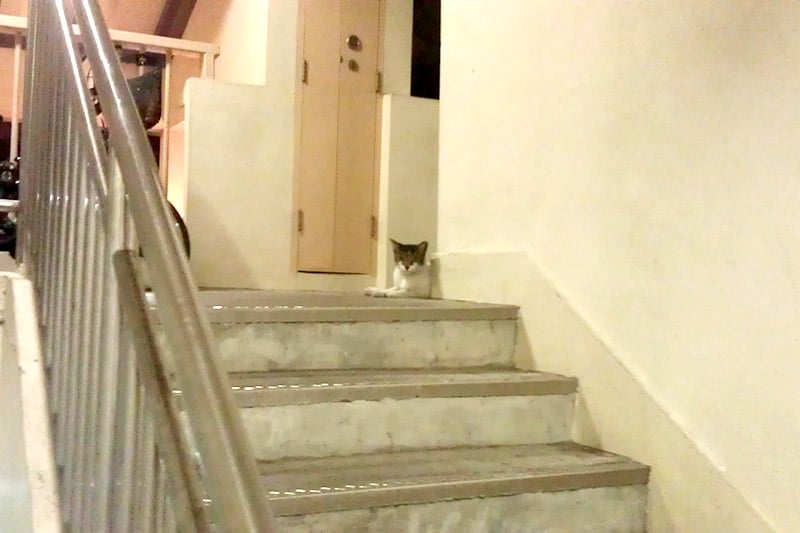 Nancy waiting by the stairs