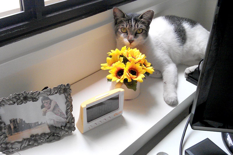 Nancy by the window with sunshine