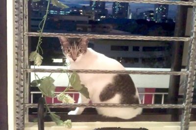 Nancy by the window