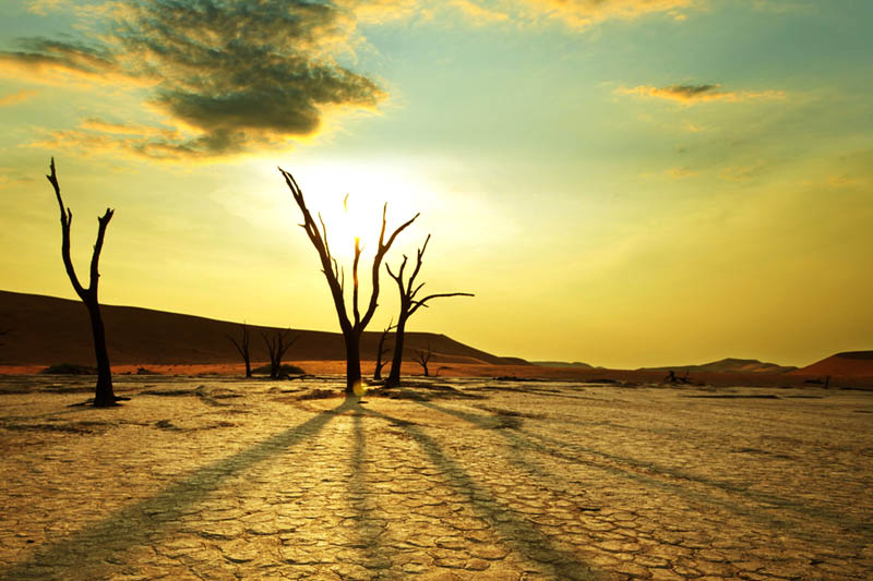 Desert