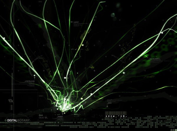 Digital Artwork: Digital Botany