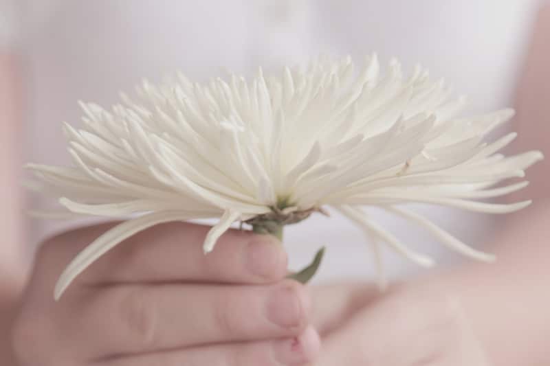 Flower in Hand