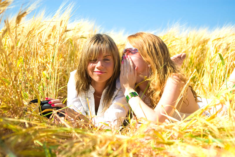 Girls chatting on a wheat field