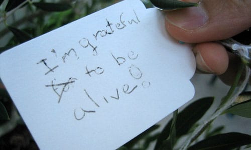 "I'm grateful to be alive"