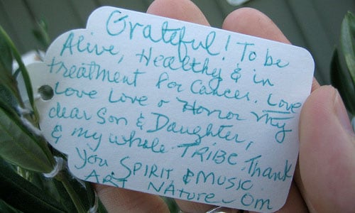 "Grateful to be alive, healthy, and in treatment for cancer"