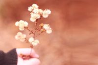 Holding flowers in hand