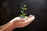 Commit yourself to growth