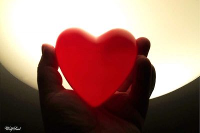 Heart in hand