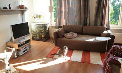 Living Room in a Dutch Home