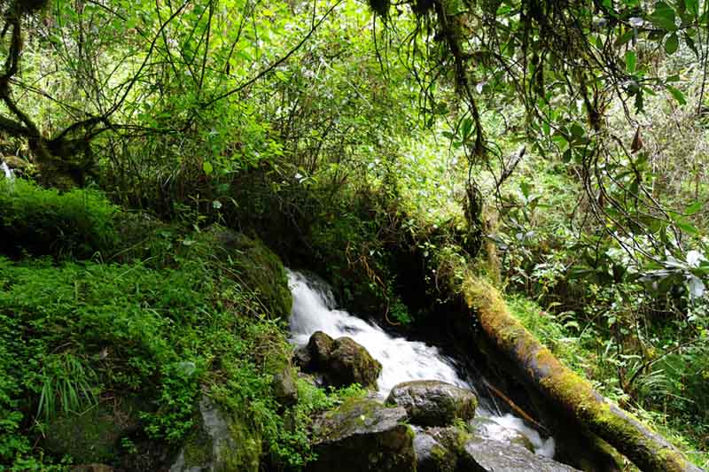 Inca Trail