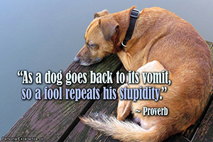 Quote of the Moment