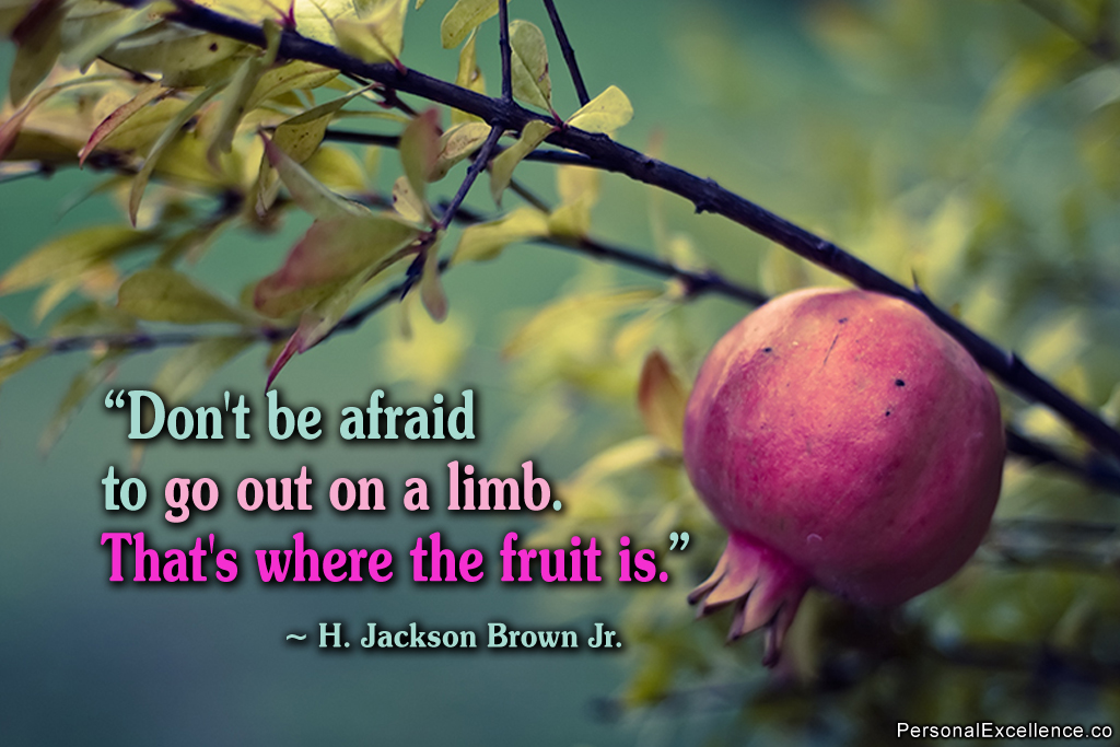 Quote of the Moment