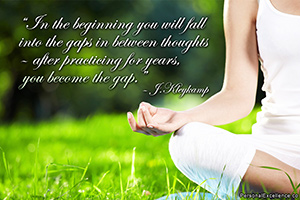 Quote of the Moment