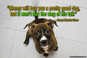 Quote of the Moment
