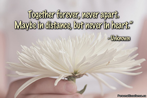 Quote of the Moment