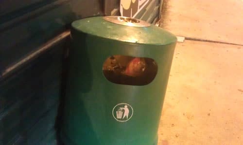 Litter bin