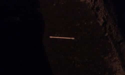 Litter: Cotton bud