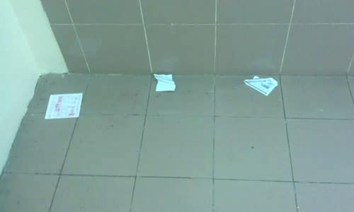 Litter: Flyers
