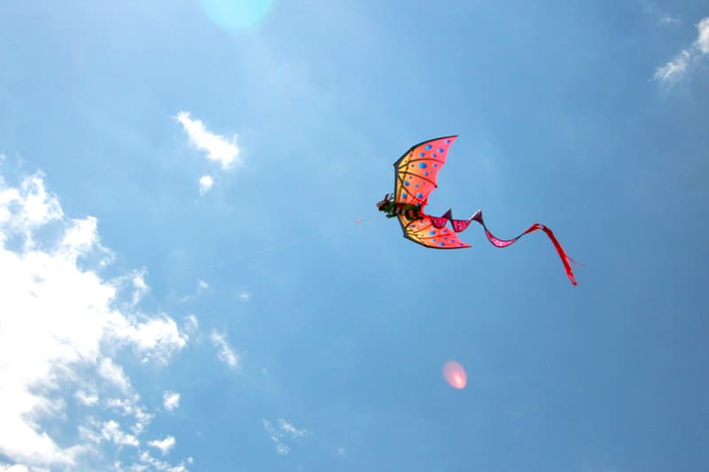Kite flying