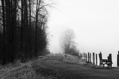 Lonely path