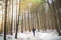 Man alone in a forest