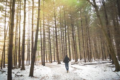Man alone in a forest