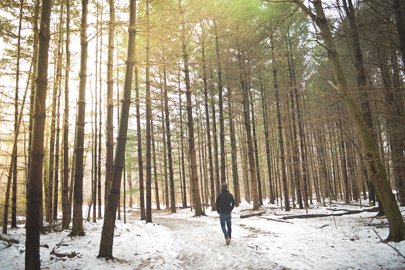 Man alone in a forest