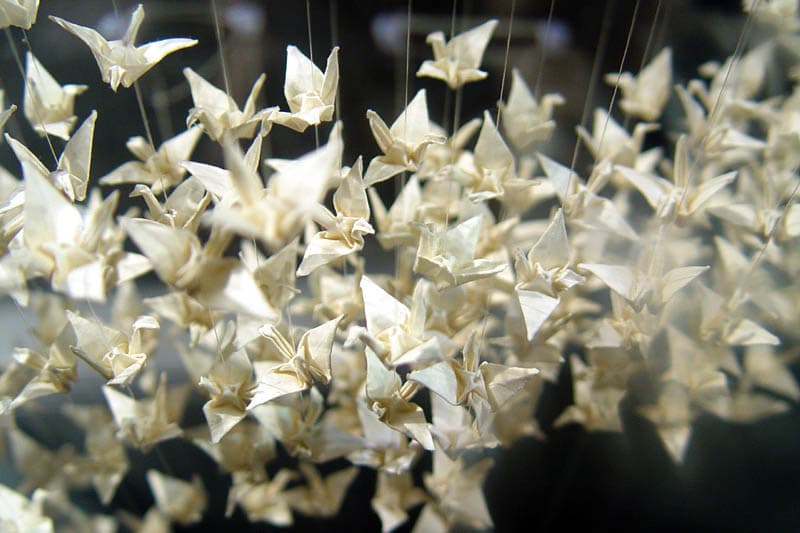Origami cranes