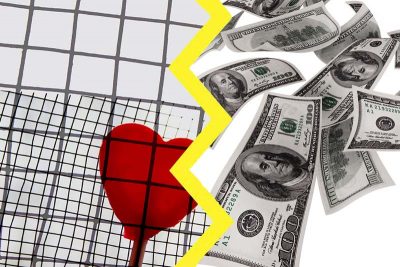 Passion or Money? Which would you choose?