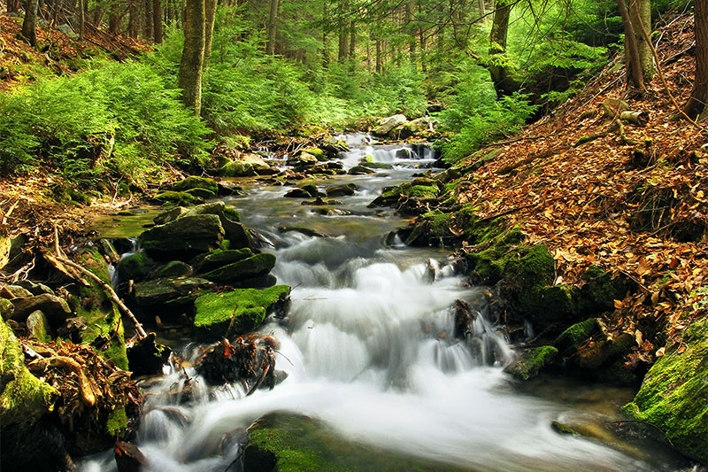 River stream