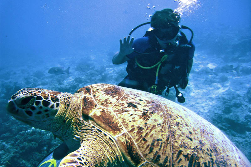 Scuba Diving