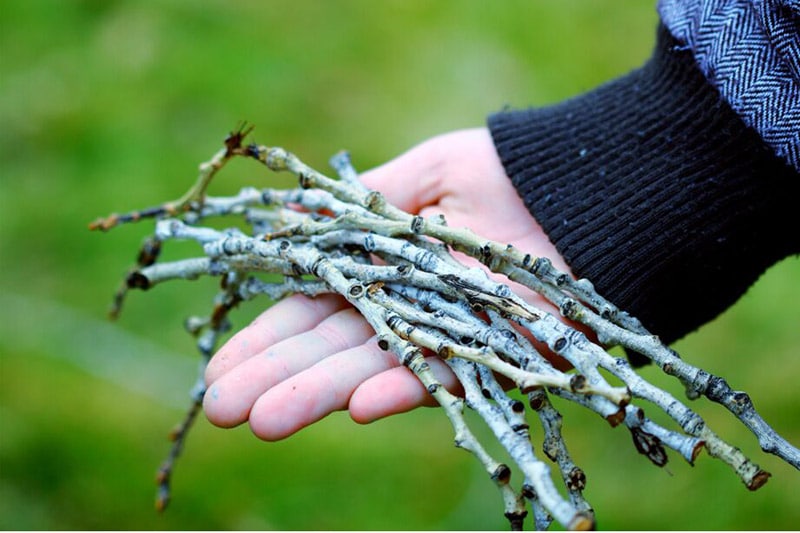 Sticks in Hand