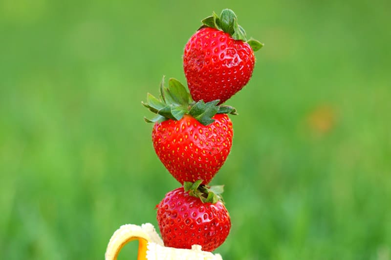 Stacked strawberries