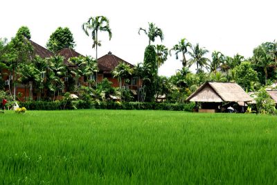 Ubud