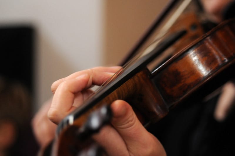Violin