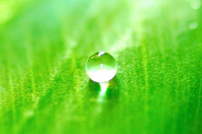 Water Droplet