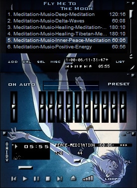 Winamp Skin: Rei Ayanami