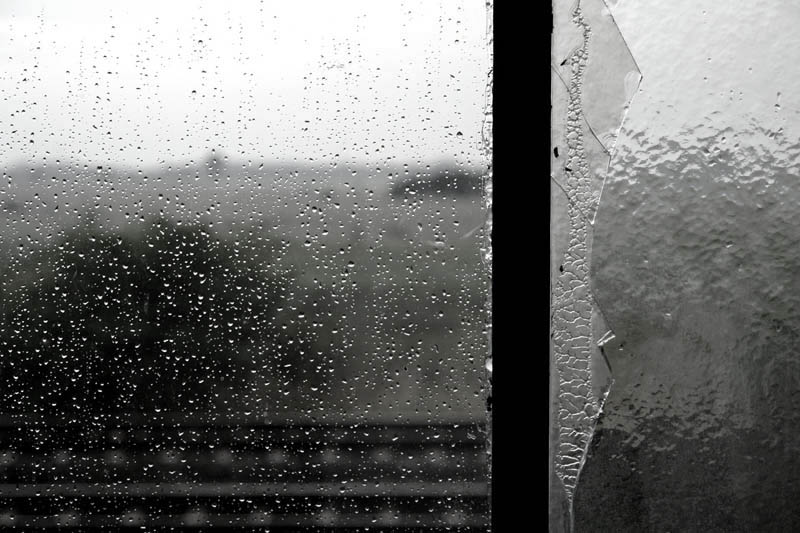 Raindrops on window
